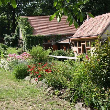 Poncet'Sches Herrenhaus Drezno Zewnętrze zdjęcie