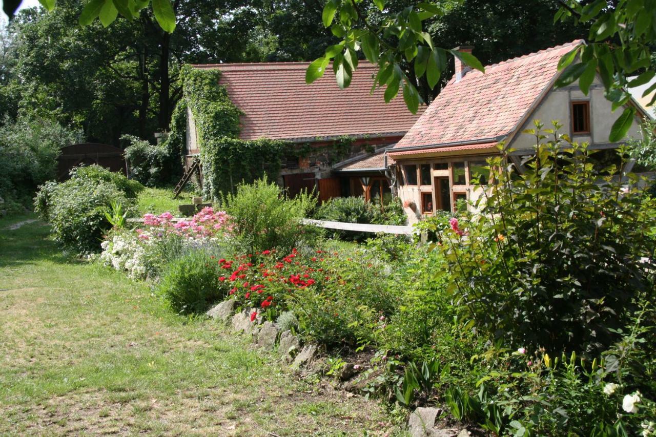 Poncet'Sches Herrenhaus Drezno Zewnętrze zdjęcie