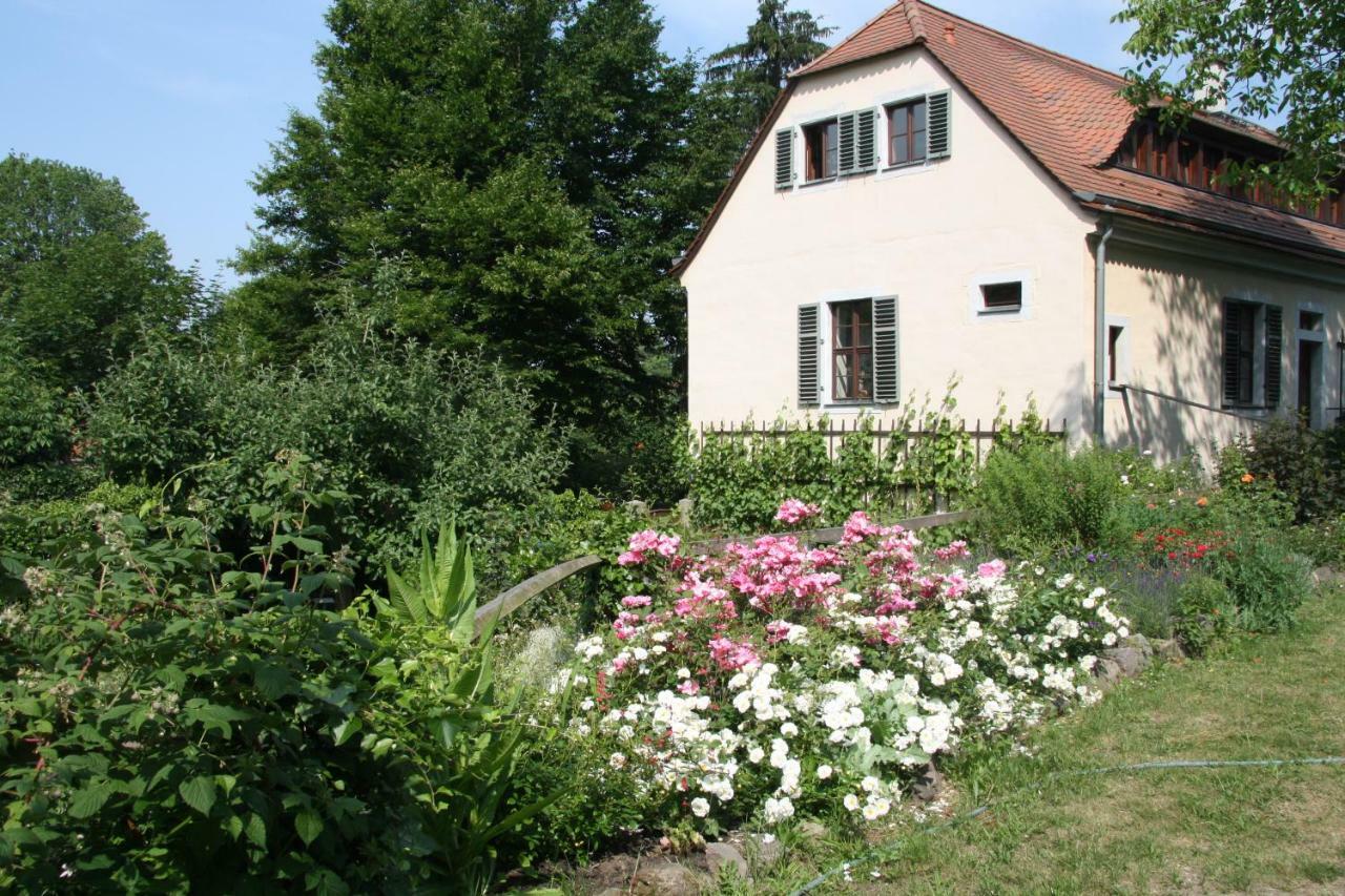 Poncet'Sches Herrenhaus Drezno Zewnętrze zdjęcie